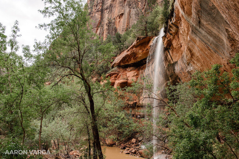 21 Zion National Park(pp w768 h512) - Zion National Park, UT
