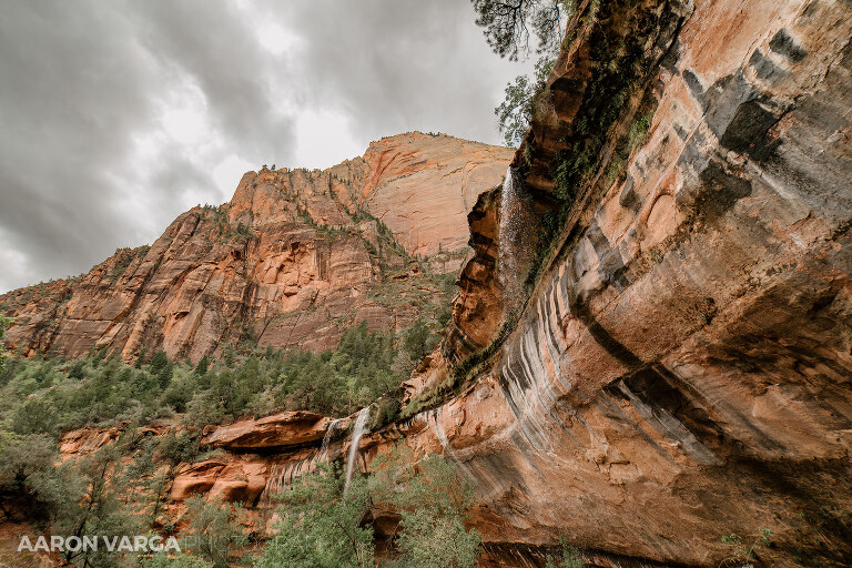23 Zion National Park(pp w768 h512) - Zion National Park, UT