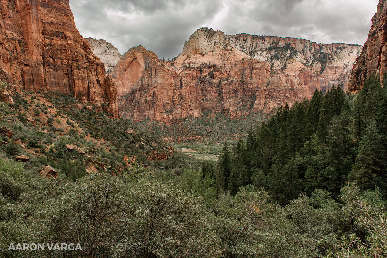 24 Zion National Park(pp w768 h512) - Zion National Park, UT