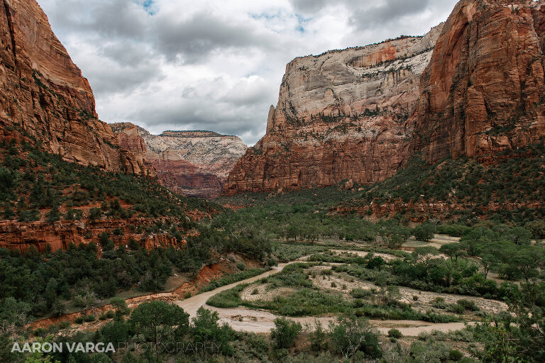 28 Zion National Park(pp w768 h512) - Zion National Park, UT