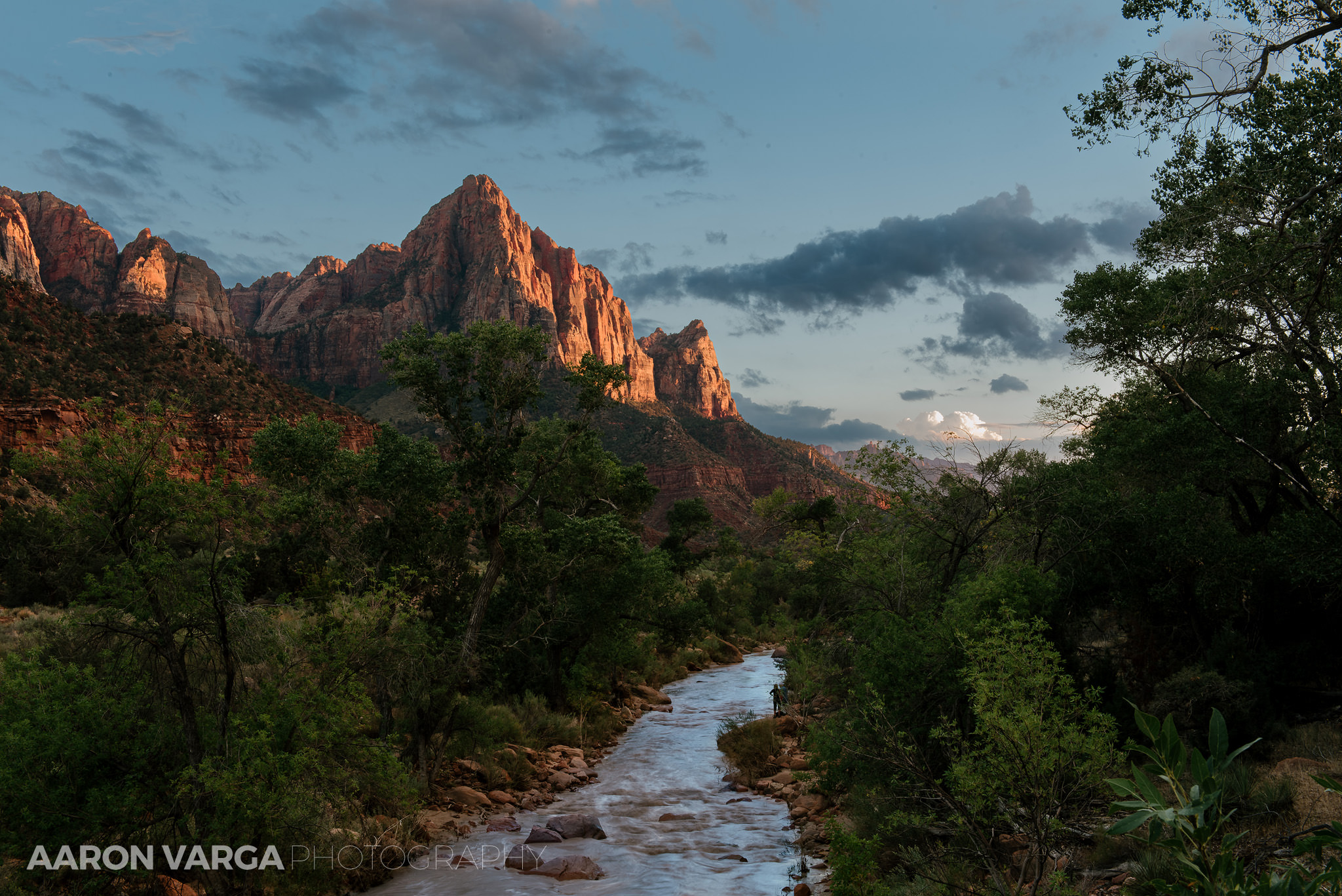 31 Zion National Park - Zion National Park, UT