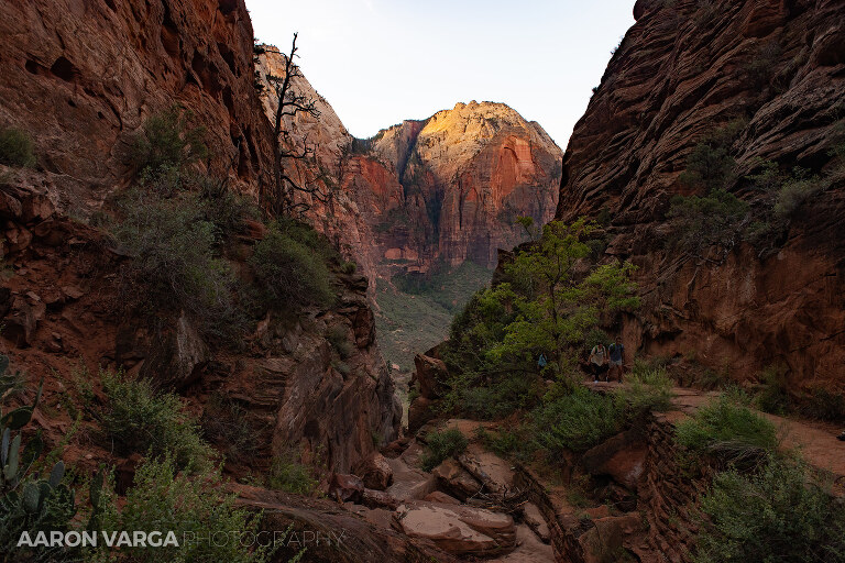 37 Zion National Park(pp w768 h512) - Zion National Park, UT