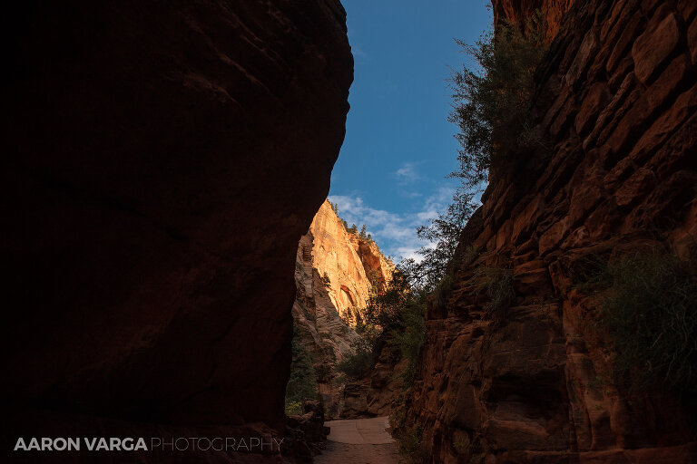 38 Zion National Park(pp w768 h512) - Zion National Park, UT
