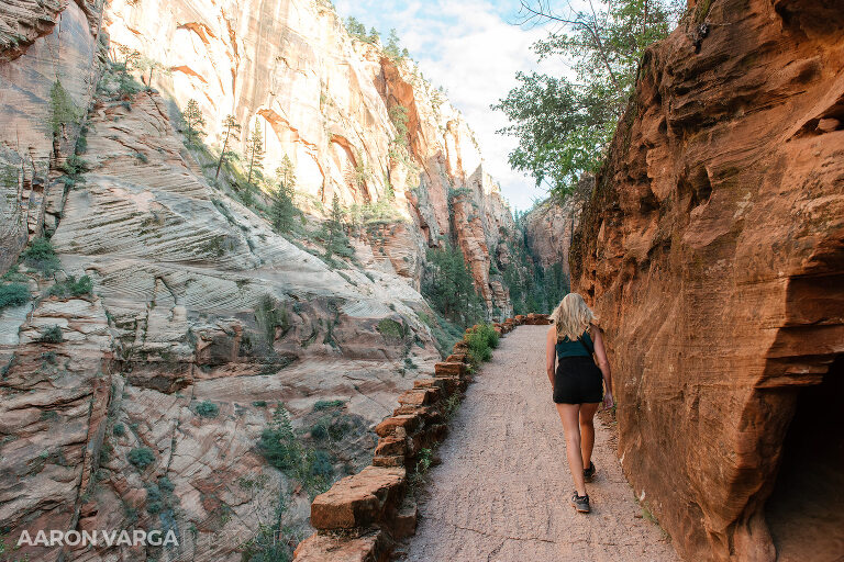 39 Zion National Park(pp w768 h512) - Zion National Park, UT
