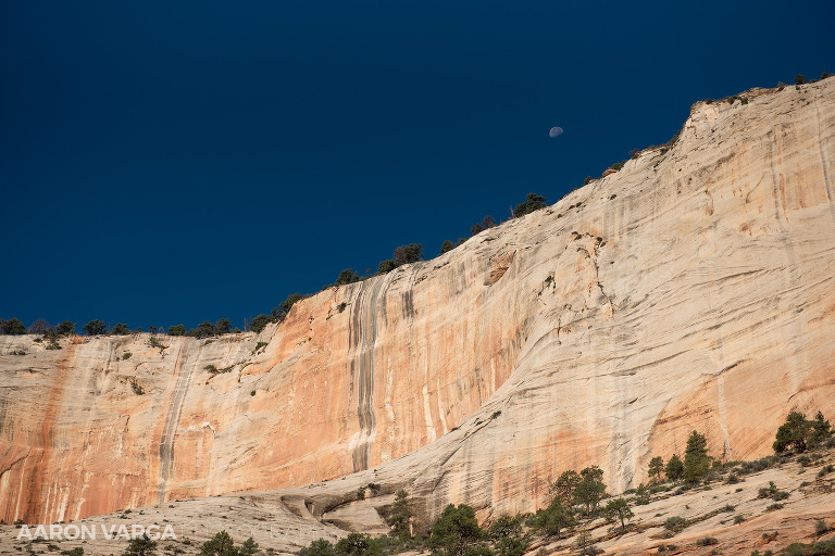 40 Zion National Park(pp w768 h512) - Zion National Park, UT