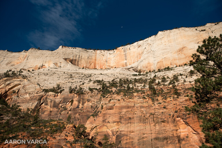 44 Zion National Park(pp w768 h512) - Zion National Park, UT