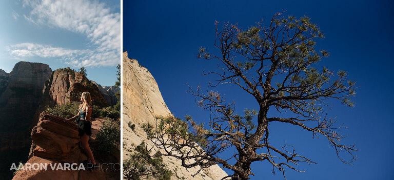 46 Zion National Park(pp w768 h351) - Zion National Park, UT