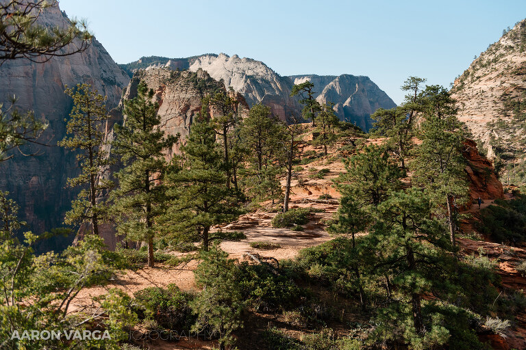 48 Zion National Park(pp w768 h512) - Zion National Park, UT