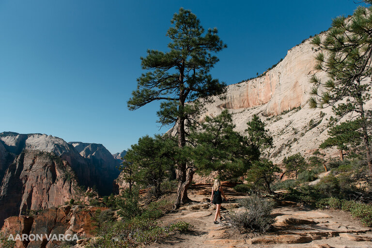 51 Zion National Park(pp w768 h512) - Zion National Park, UT
