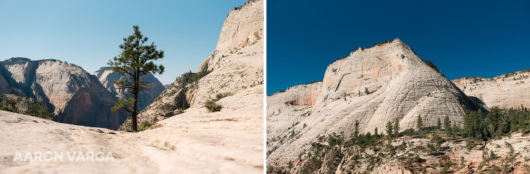 53 Zion National Park(pp w768 h253) - Zion National Park, UT