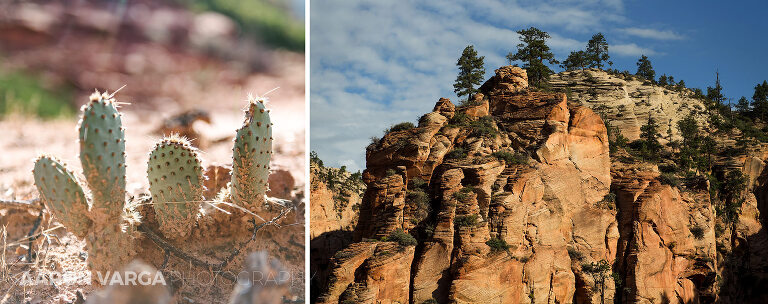 55 Zion National Park(pp w768 h304) - Zion National Park, UT