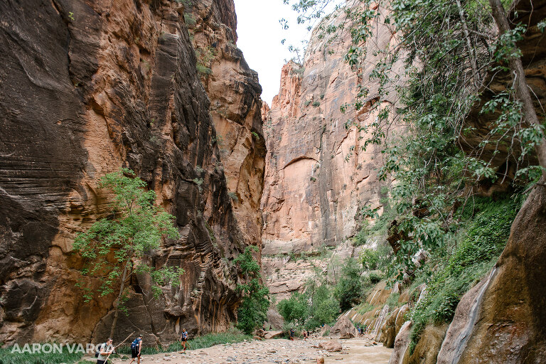 57 Zion National Park(pp w768 h512) - Zion National Park, UT