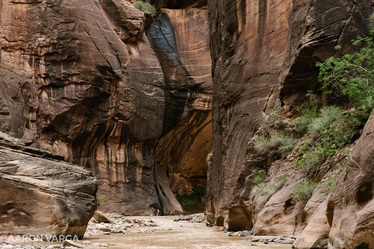 59 Zion National Park(pp w768 h512) - Zion National Park, UT