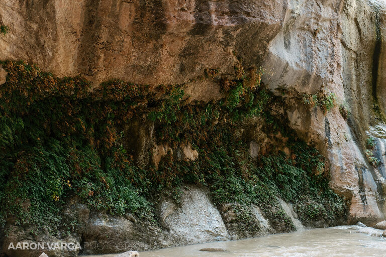 60 Zion National Park(pp w768 h512) - Zion National Park, UT