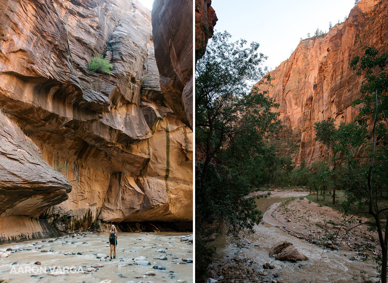 61 Zion National Park(pp w768 h561) - Zion National Park, UT