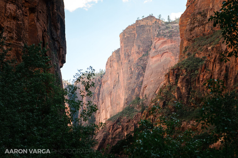 62 Zion National Park(pp w768 h512) - Zion National Park, UT