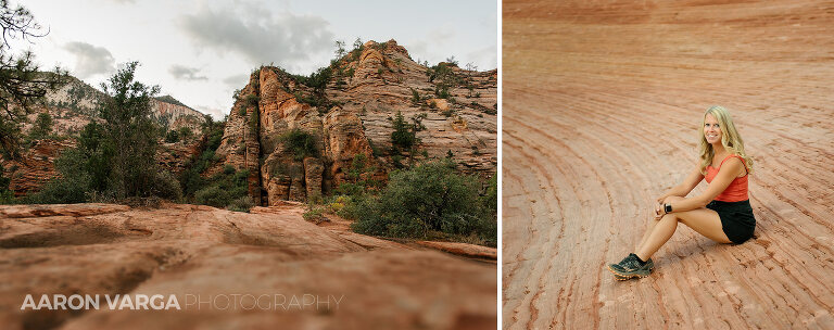 64 Zion National Park(pp w768 h304) - Zion National Park, UT