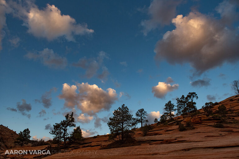 67 Zion National Park(pp w768 h512) - Zion National Park, UT