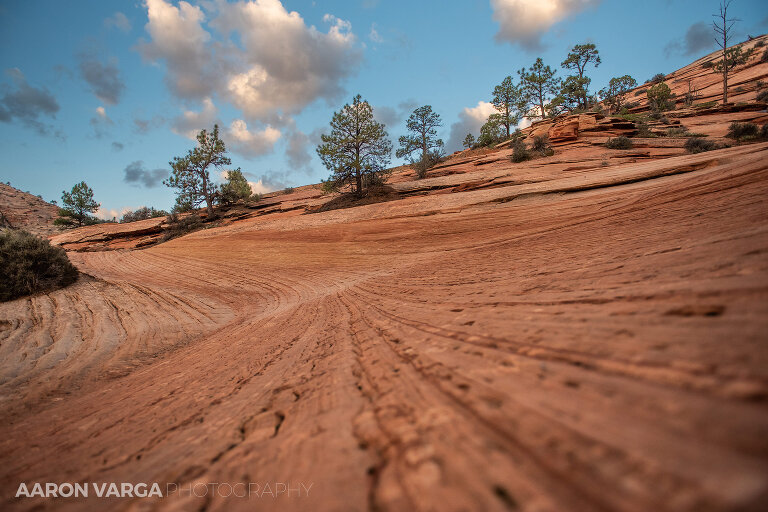 68 Zion National Park(pp w768 h512) - Zion National Park, UT