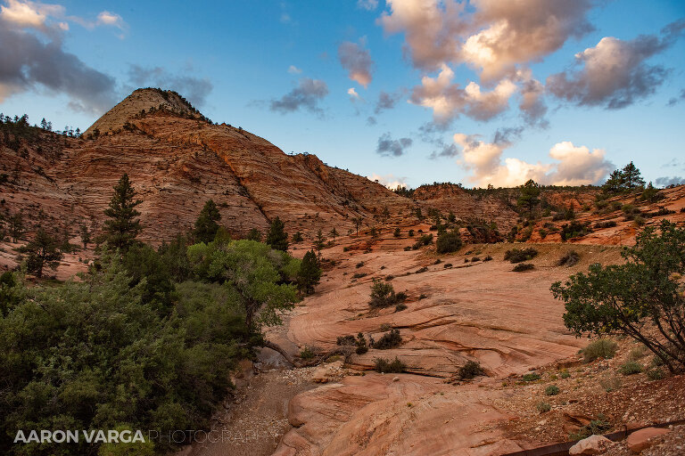69 Zion National Park(pp w768 h512) - Zion National Park, UT