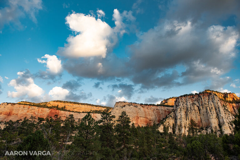 70 Zion National Park(pp w768 h512) - Zion National Park, UT