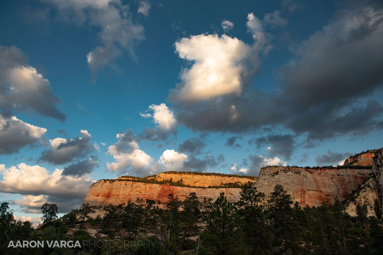71 Zion National Park(pp w768 h512) - Zion National Park, UT