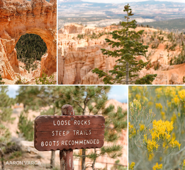 11 Bryce Canyon National Park(pp w768 h708) - Bryce Canyon National Park, UT