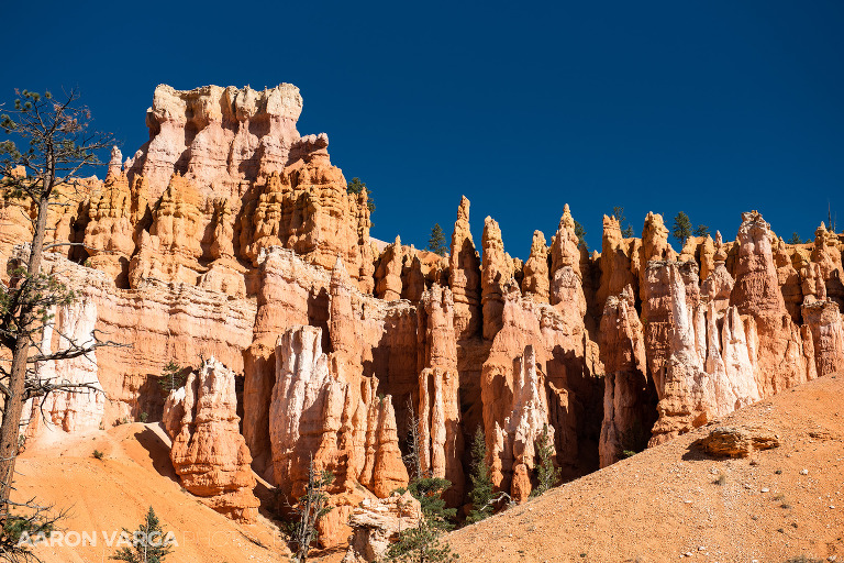 14 Bryce Canyon National Park(pp w768 h512) - Bryce Canyon National Park, UT