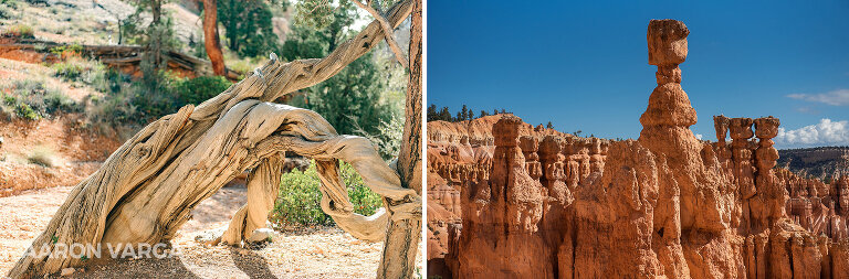 17 Bryce Canyon National Park(pp w768 h253) - Bryce Canyon National Park, UT
