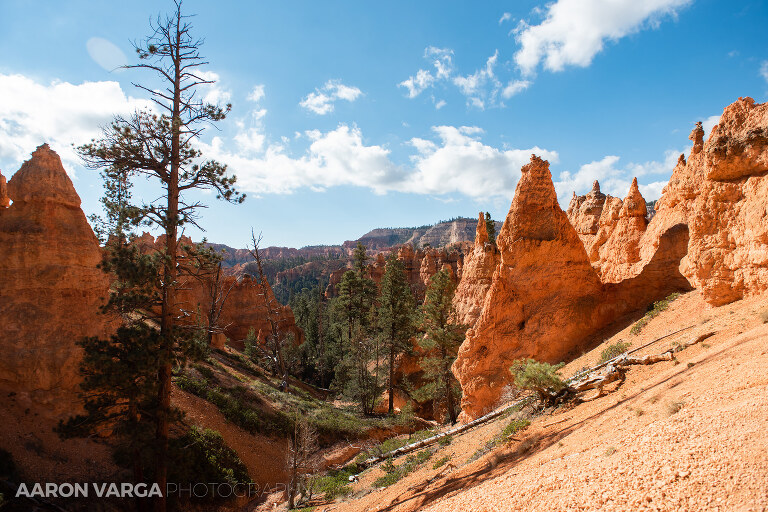 18 Bryce Canyon National Park(pp w768 h512) - Bryce Canyon National Park, UT