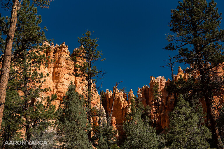 20 Bryce Canyon National Park(pp w768 h512) - Bryce Canyon National Park, UT