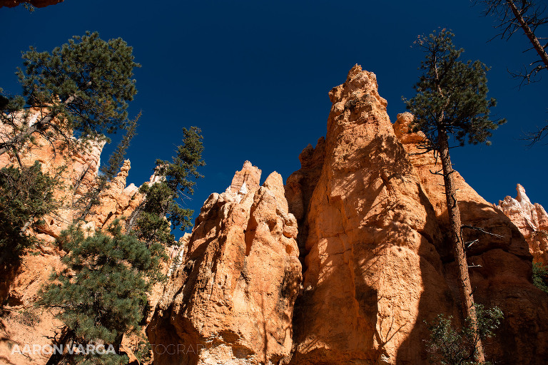 21 Bryce Canyon National Park(pp w768 h512) - Bryce Canyon National Park, UT