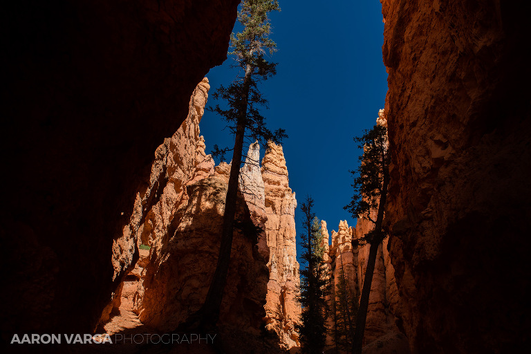 22 Bryce Canyon National Park(pp w768 h512) - Bryce Canyon National Park, UT
