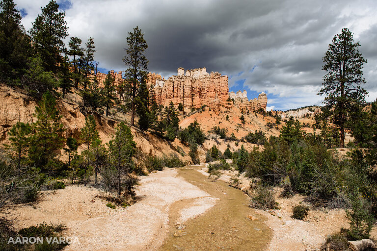 31 Bryce Canyon National Park(pp w768 h512) - Bryce Canyon National Park, UT