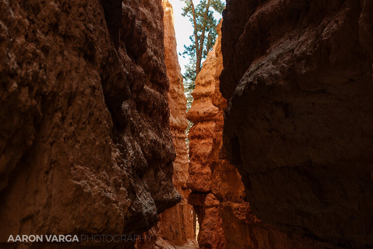 39 Bryce Canyon National Park(pp w768 h512) - Bryce Canyon National Park, UT