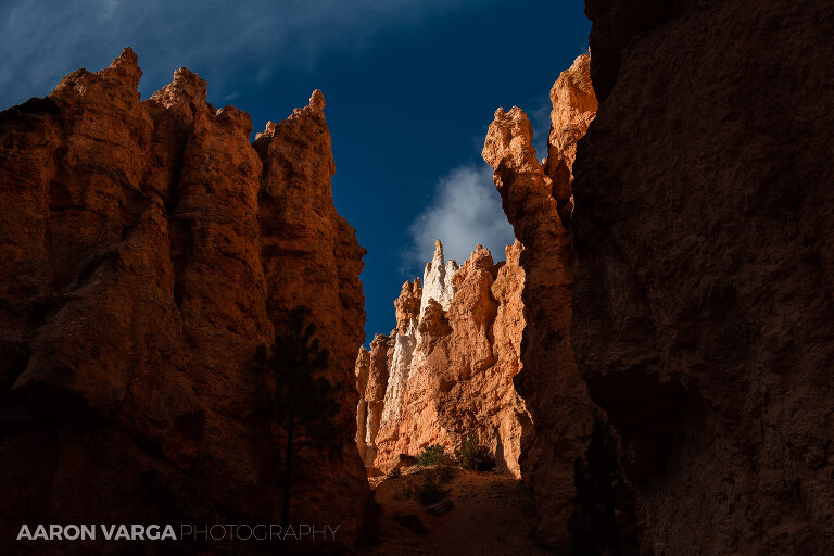 41 Bryce Canyon National Park(pp w768 h512) - Bryce Canyon National Park, UT