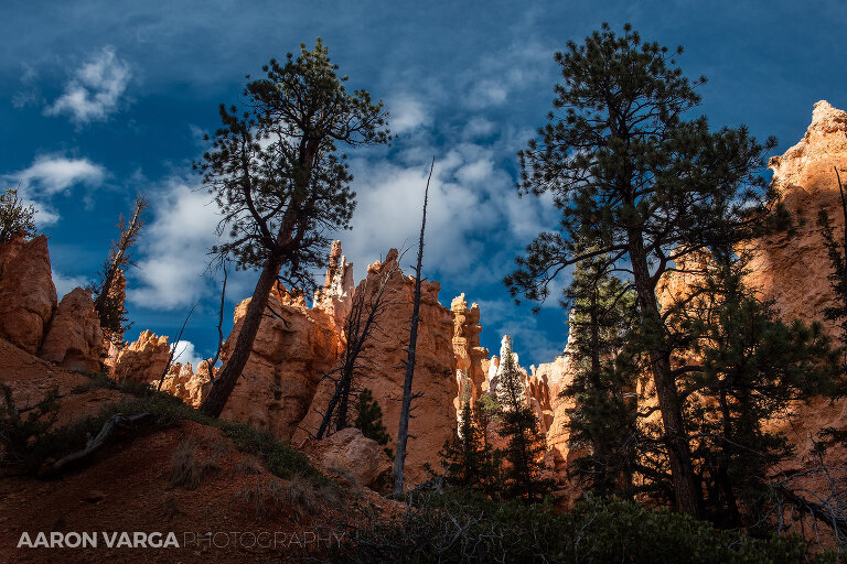 42 Bryce Canyon National Park(pp w768 h512) - Bryce Canyon National Park, UT