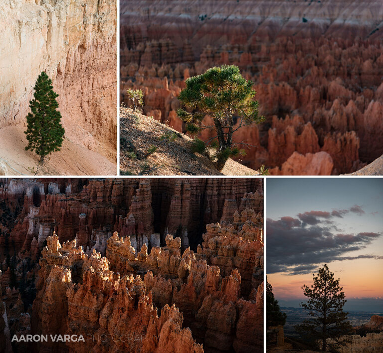 52 Bryce Canyon National Park(pp w768 h708) - Bryce Canyon National Park, UT