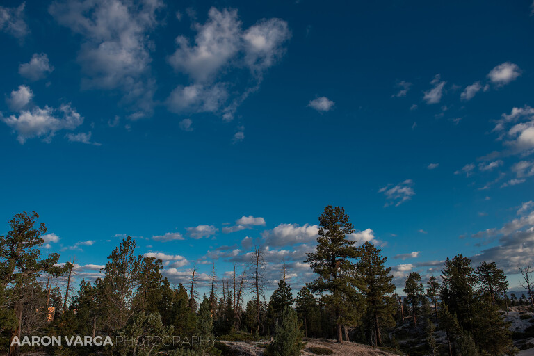 54 Bryce Canyon National Park(pp w768 h512) - Bryce Canyon National Park, UT