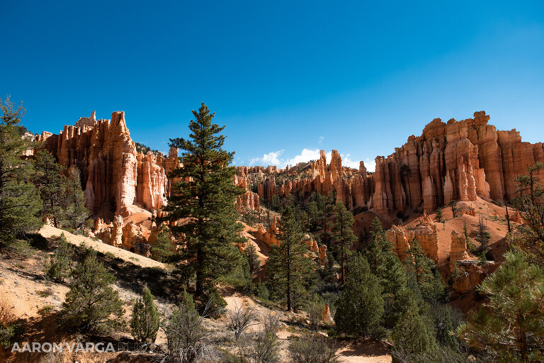 60 Bryce Canyon National Park(pp w768 h512) - Bryce Canyon National Park, UT