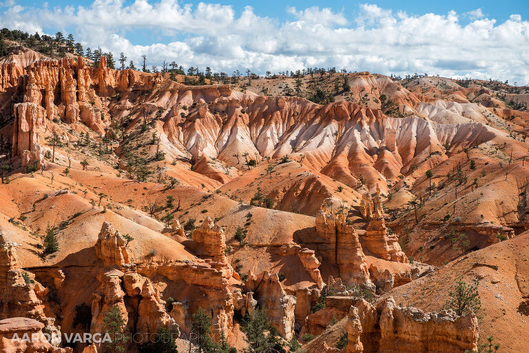 62 Bryce Canyon National Park(pp w768 h512) - Bryce Canyon National Park, UT