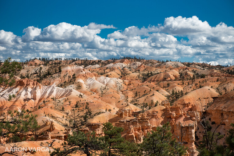 63 Bryce Canyon National Park(pp w768 h512) - Bryce Canyon National Park, UT