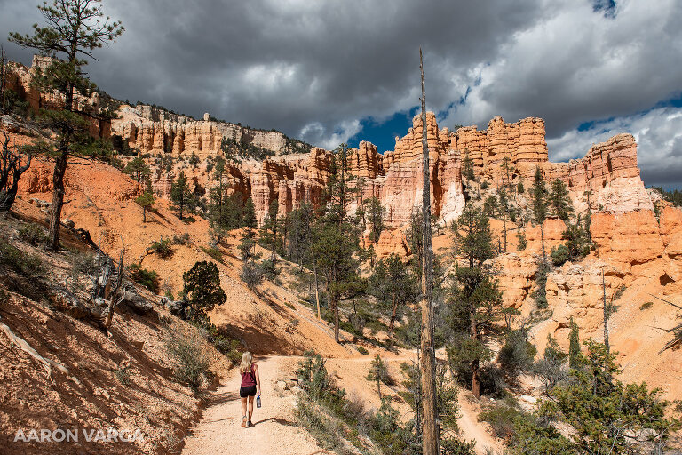 67 Bryce Canyon National Park(pp w768 h512) - Bryce Canyon National Park, UT