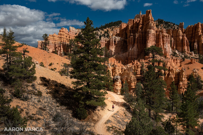 69 Bryce Canyon National Park 1(pp w768 h512) - Bryce Canyon National Park, UT