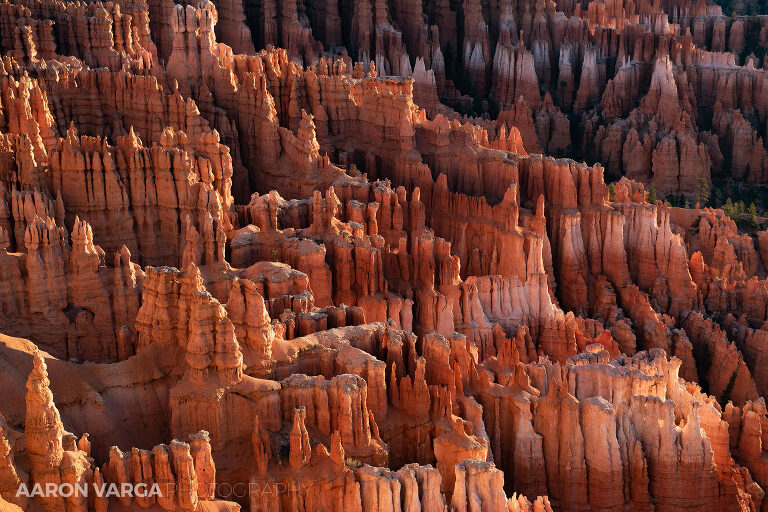 74 Bryce Canyon National Park(pp w768 h512) - Bryce Canyon National Park, UT