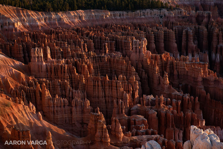 89 Bryce Canyon National Park(pp w768 h512) - Bryce Canyon National Park, UT