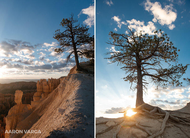 90 Bryce Canyon National Park(pp w768 h561) - Bryce Canyon National Park, UT