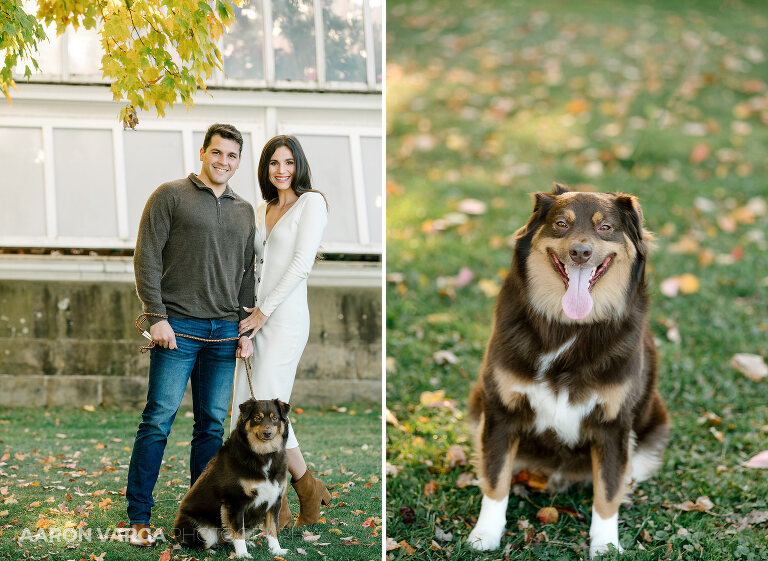 02 dog engagement photos(pp w768 h561) - Meredith + LJ | Phipps Conservatory and Schenley Park Engagement Photos