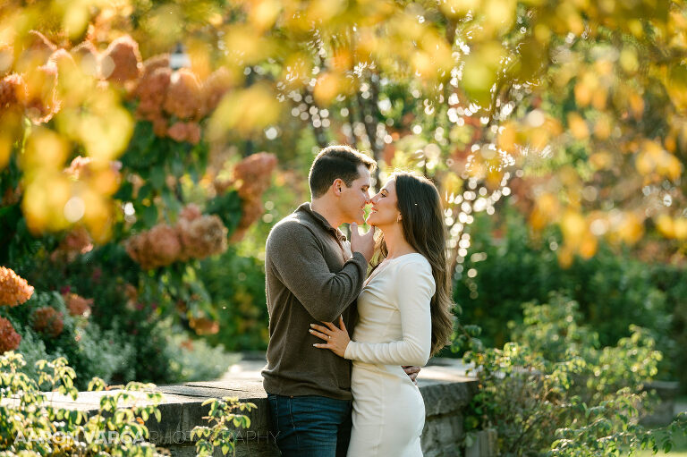 10 fall engagement photos in oakland phipps conservatory(pp w768 h511) - Meredith + LJ | Phipps Conservatory and Schenley Park Engagement Photos