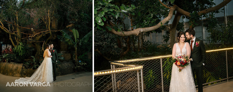 32 national aviary wedding tropical room(pp w768 h304) - Anna + Josh | National Aviary Wedding Photos